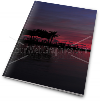 illustration - report_palm_sunset_2-png